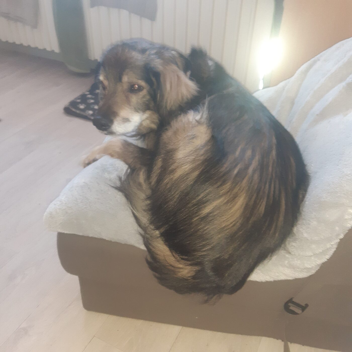 Rocky