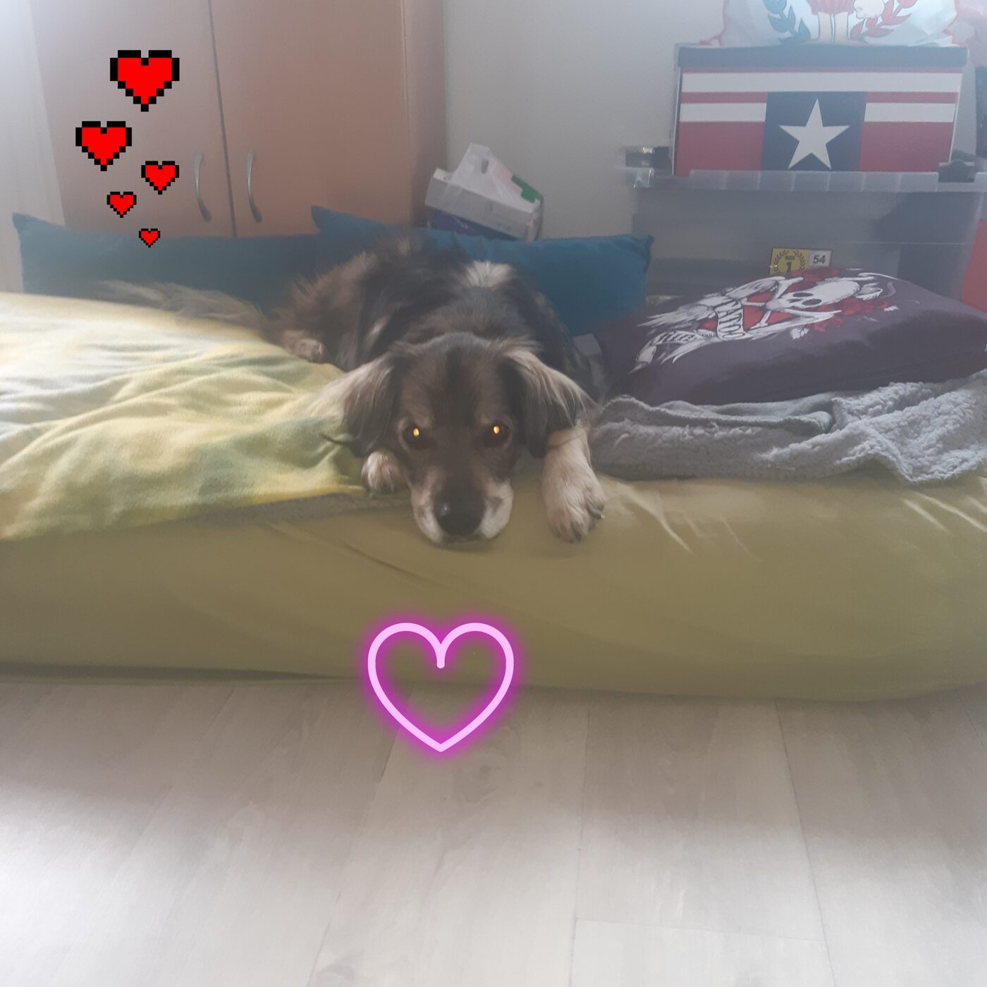 Rocky