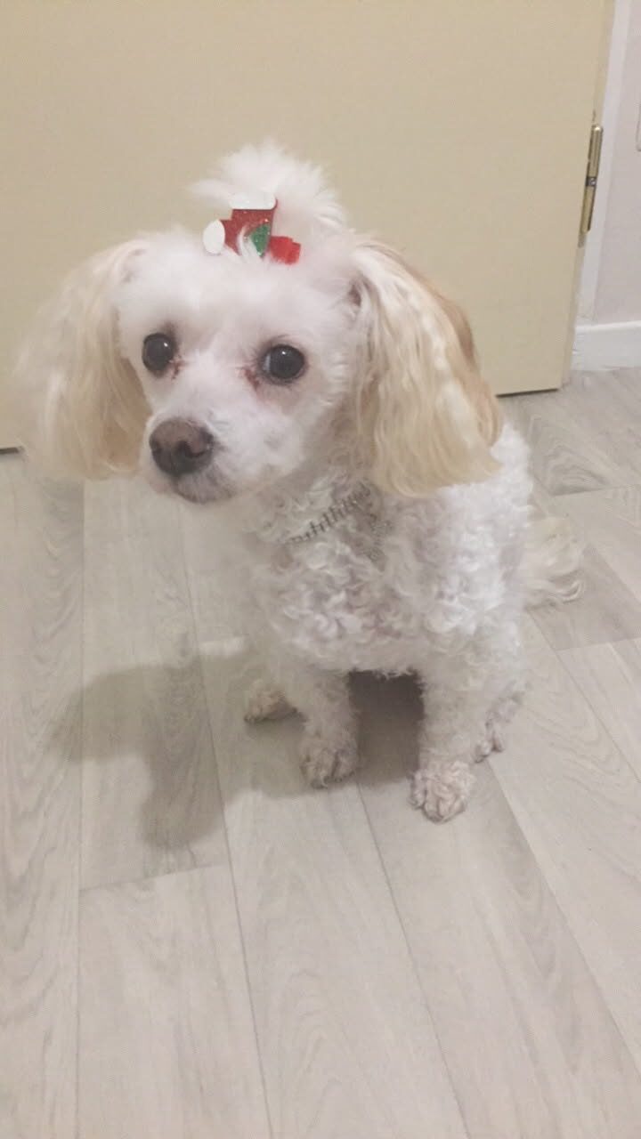Nora