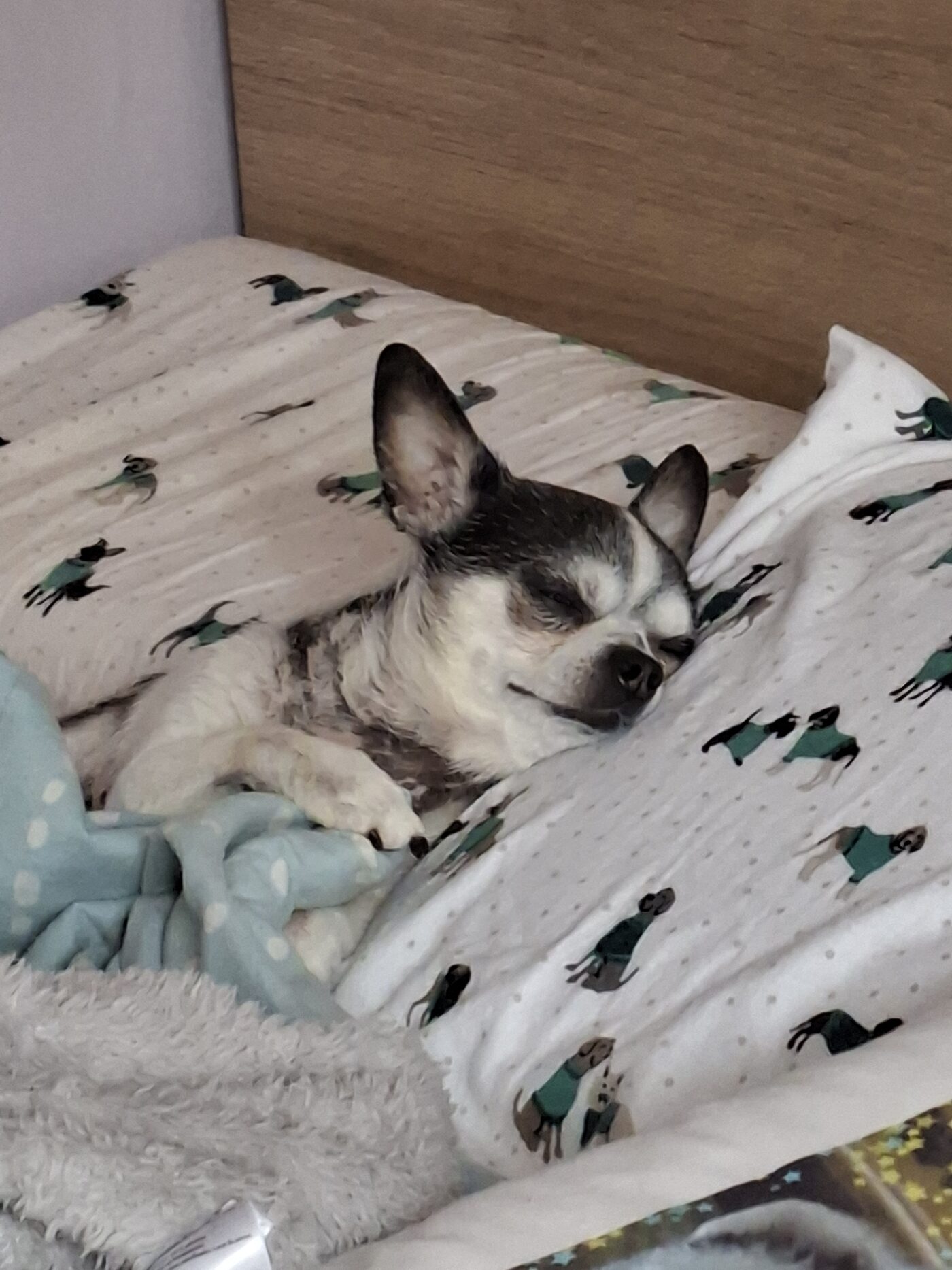 Orki