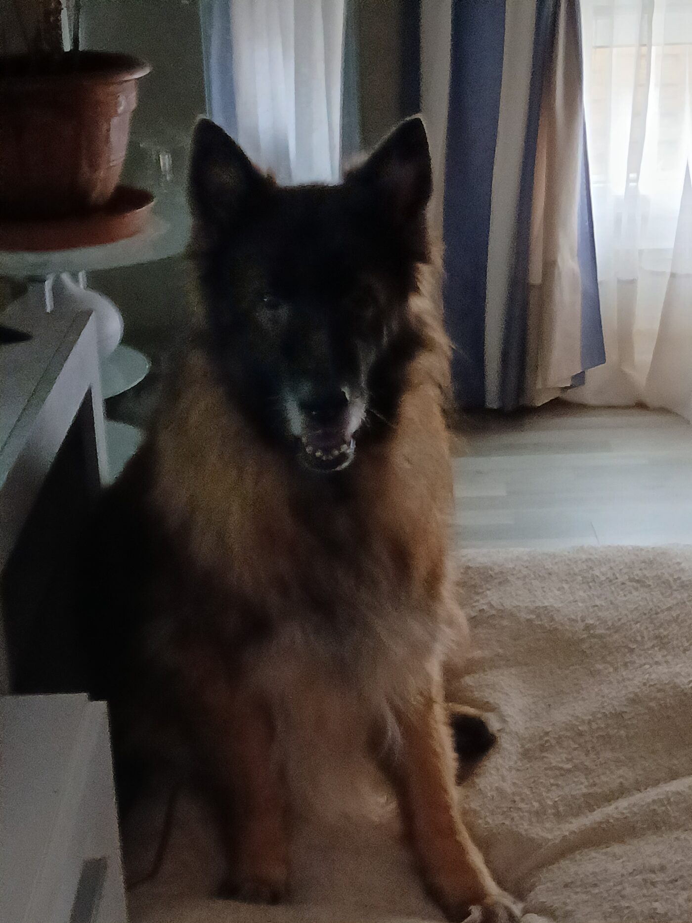 Laska