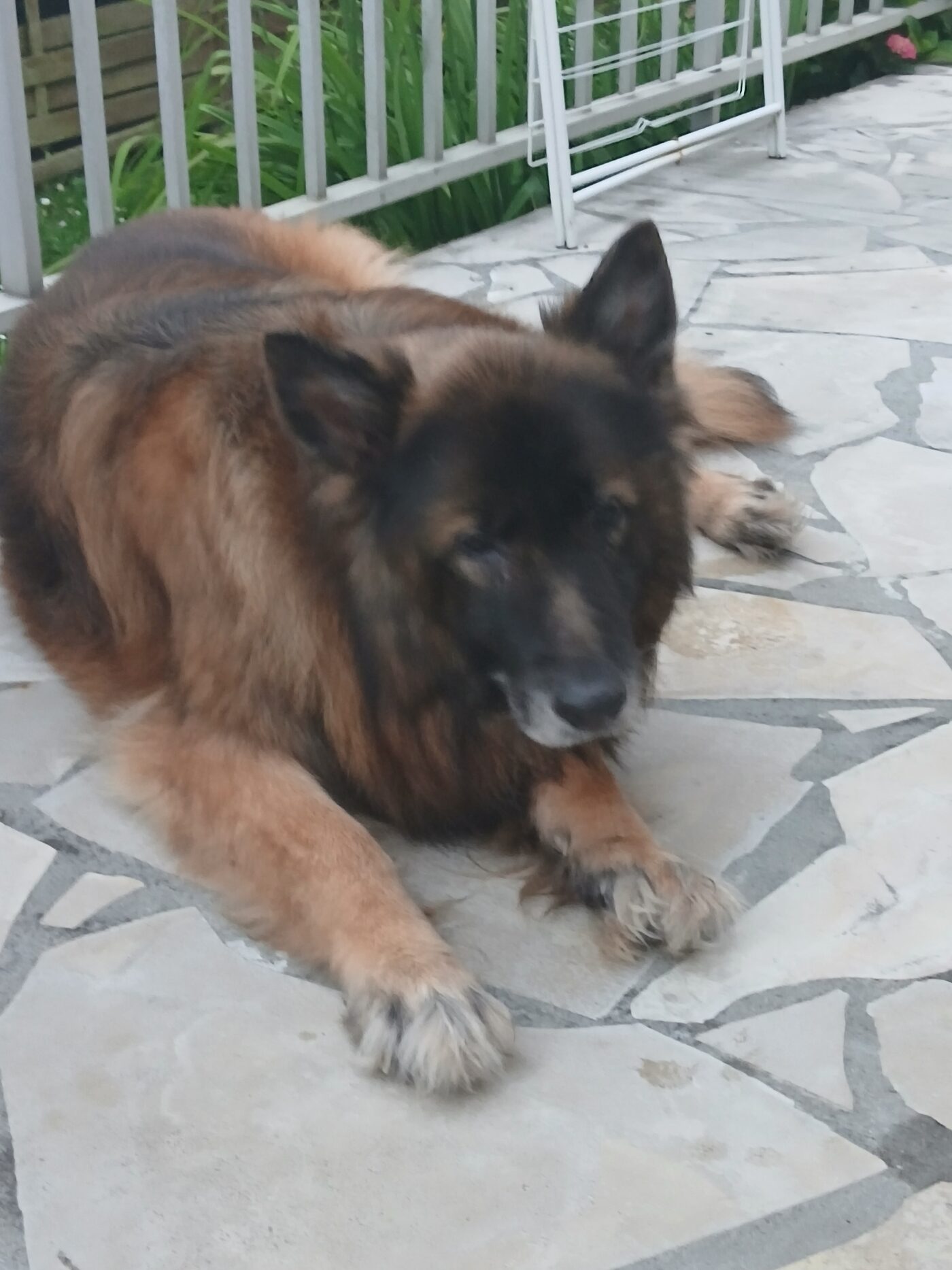 Laska