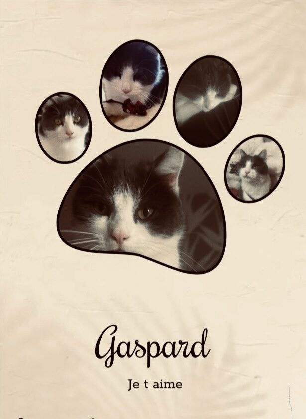 Gaspard