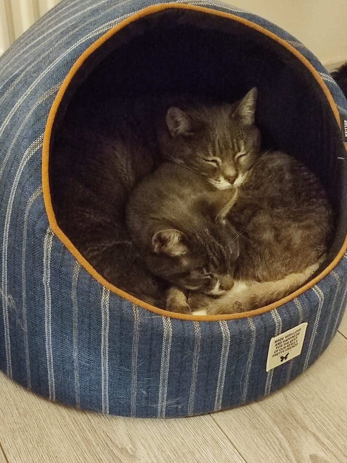 Magda