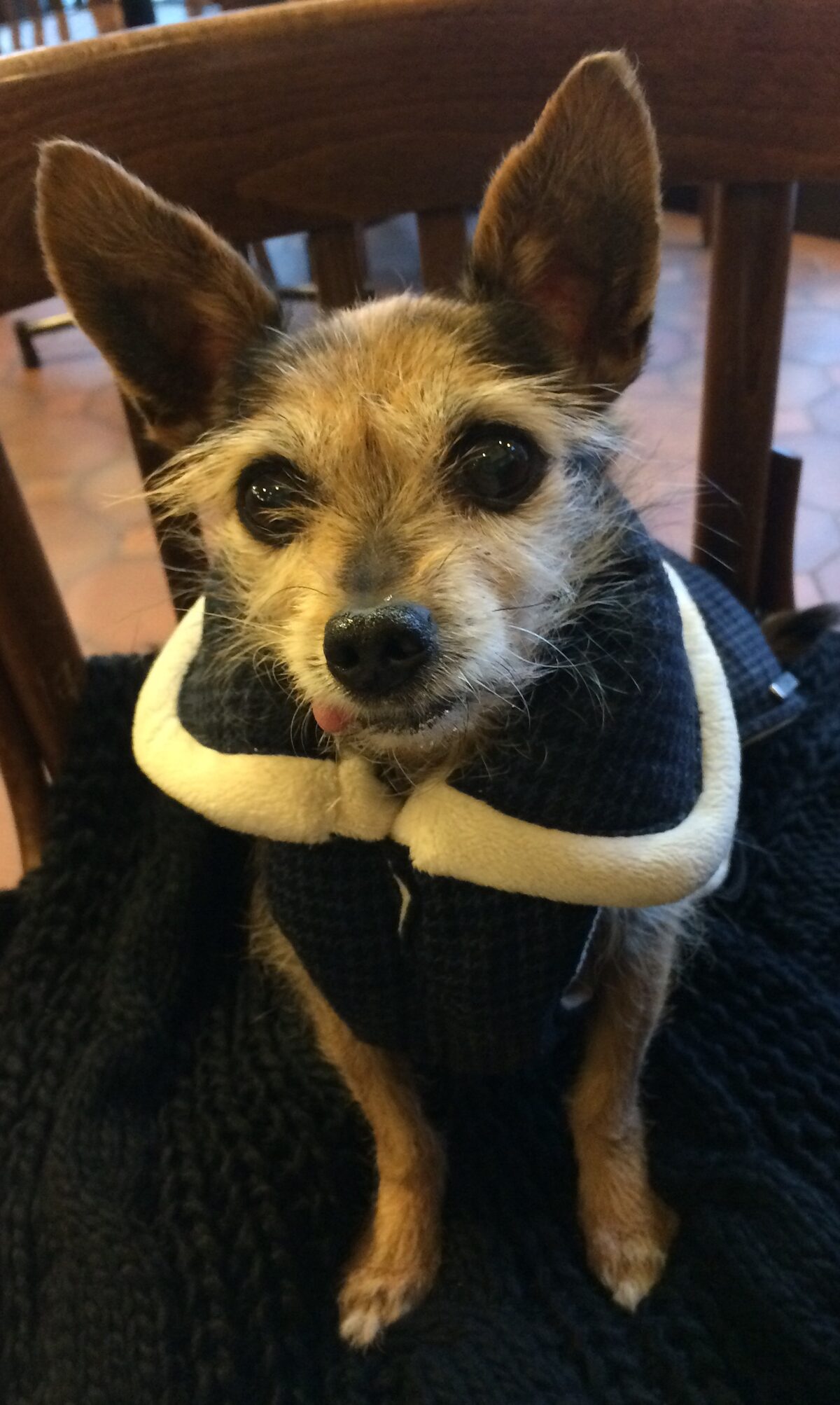 LuLu