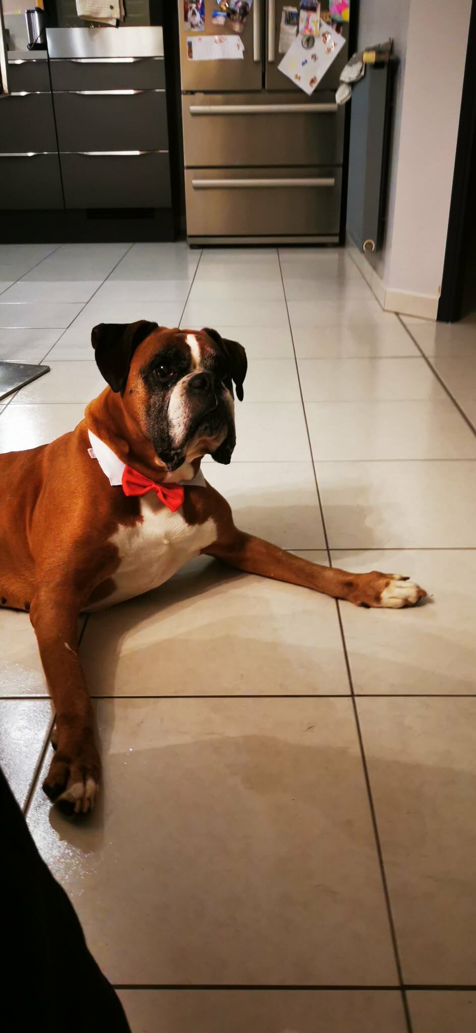 Igor