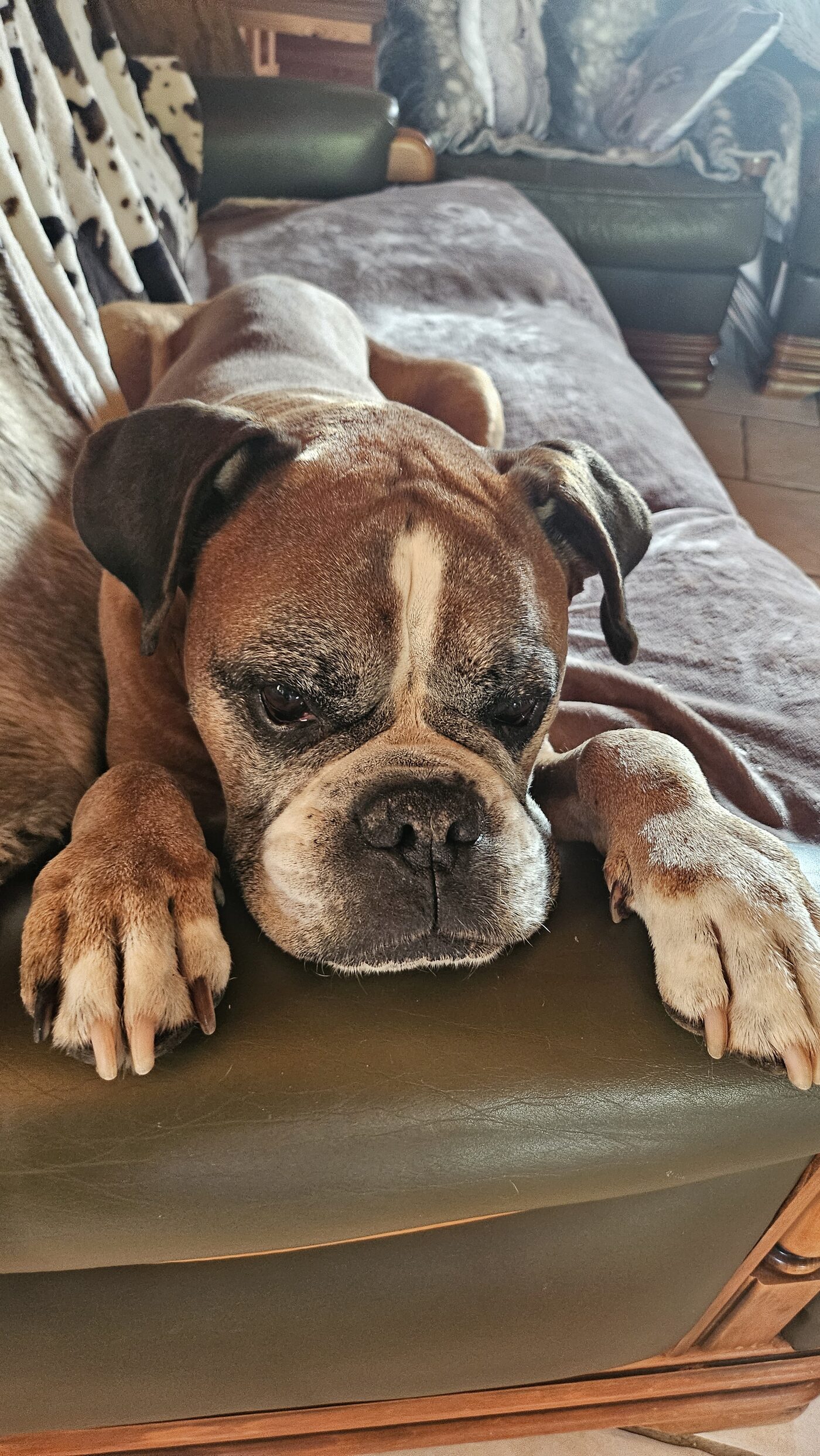 Igor