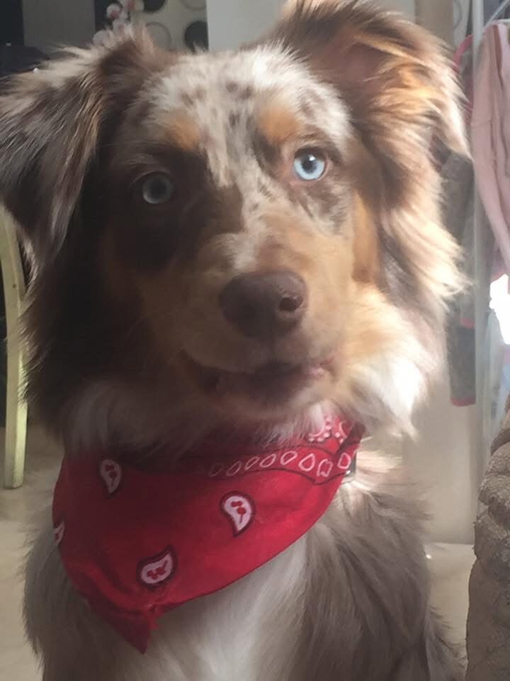 Riley