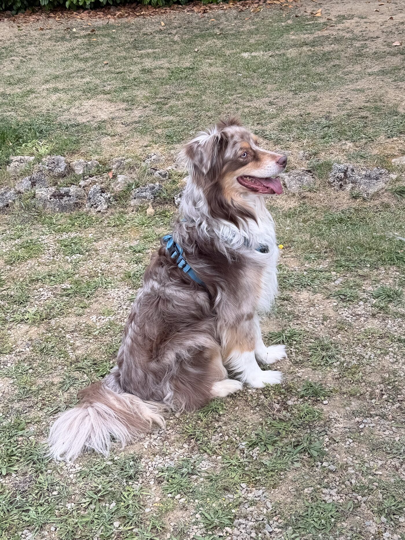 Riley