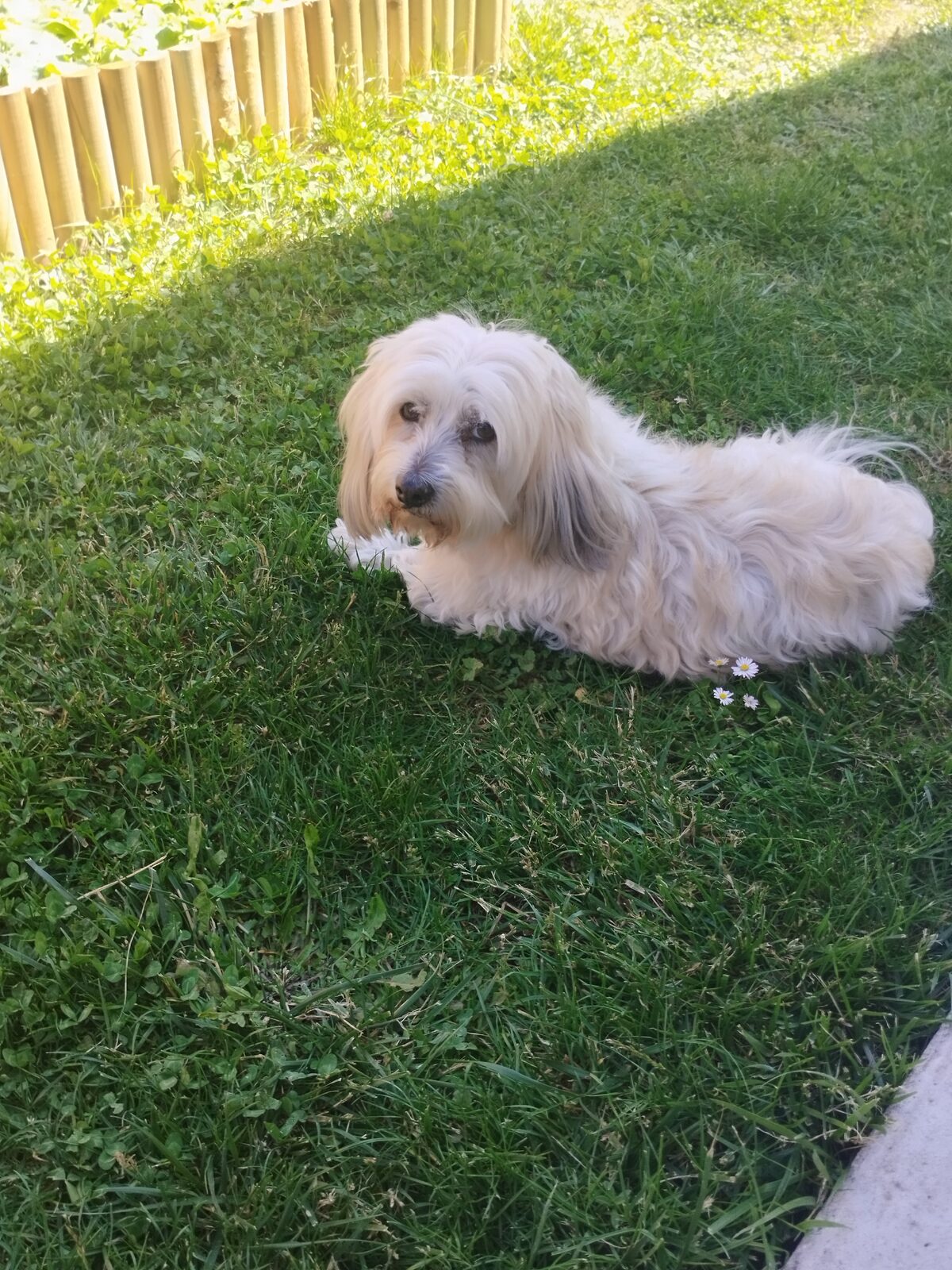 Hirou