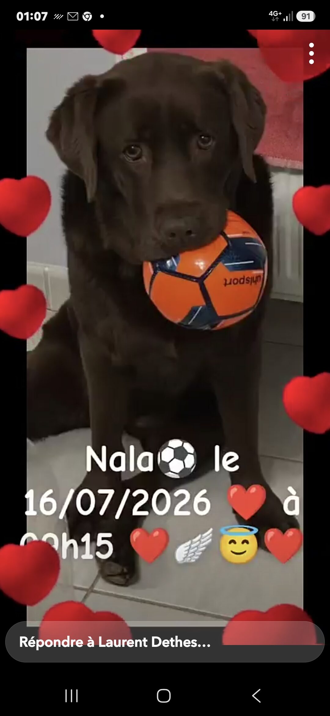 Nala