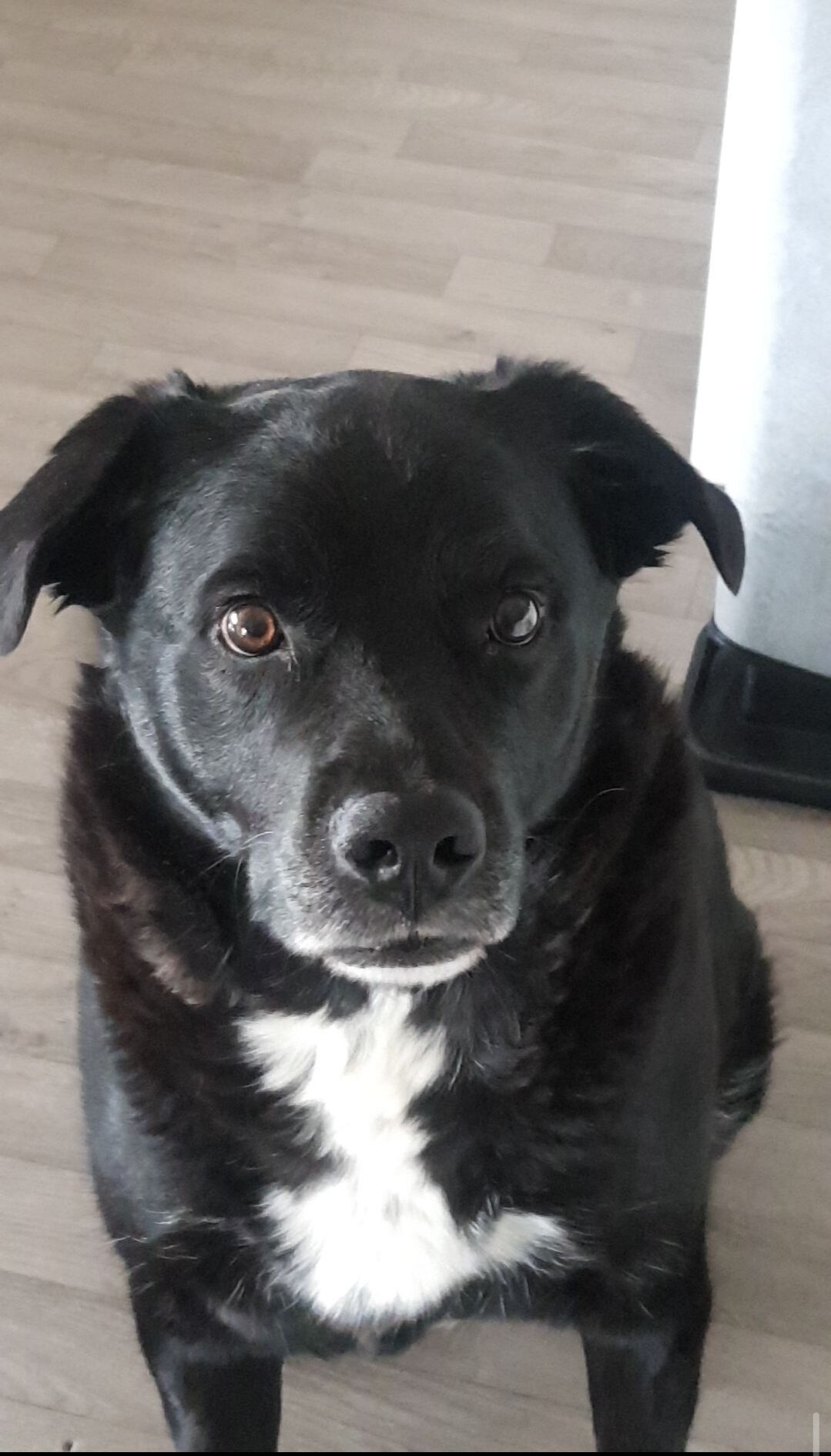 Marley
