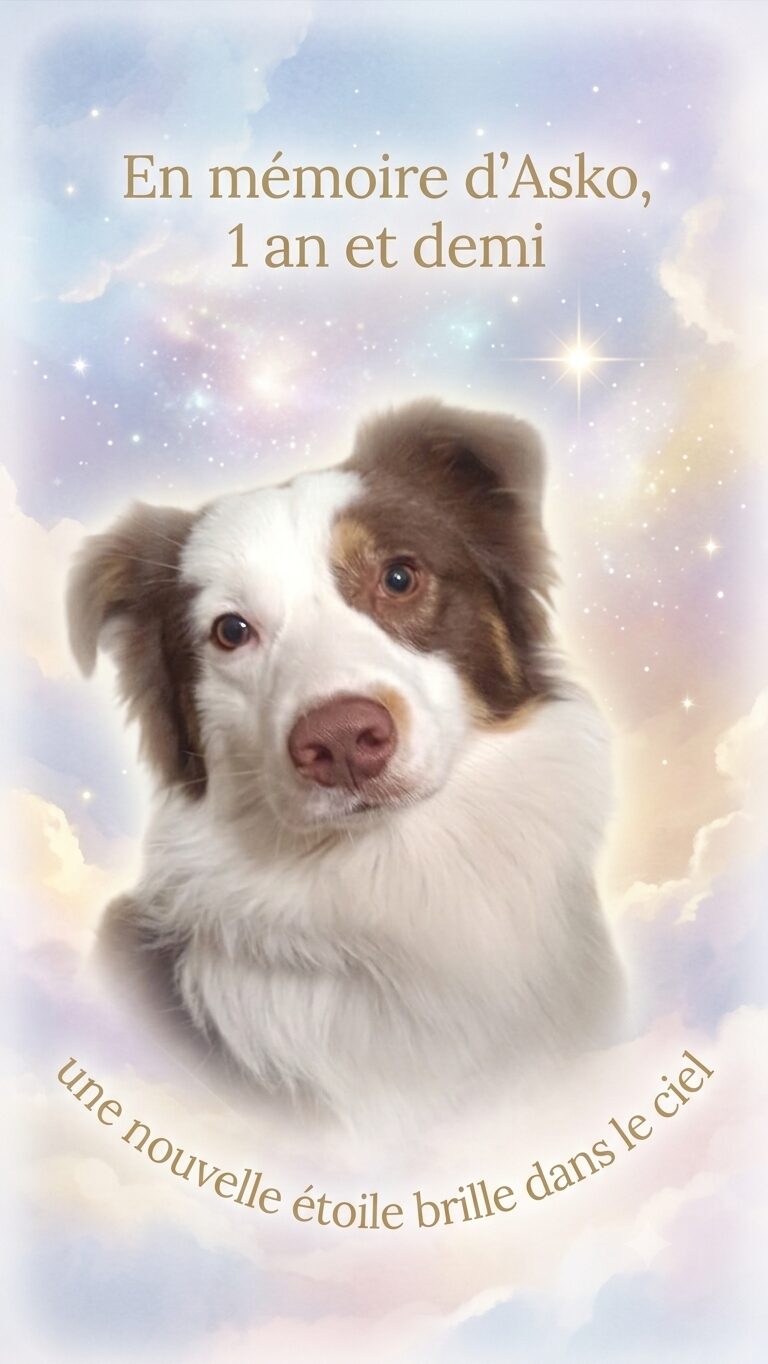 Asko