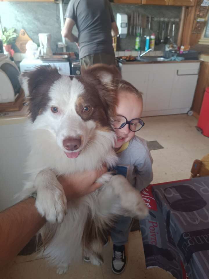 Asko