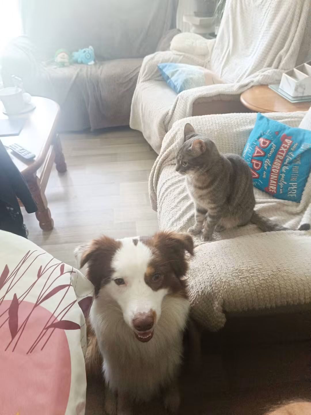 Asko