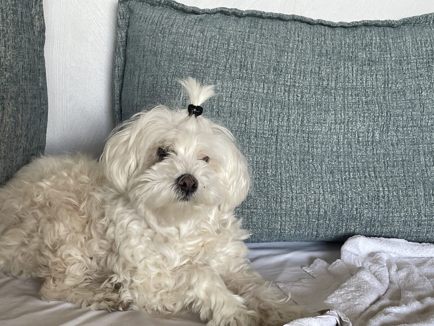 Delphie