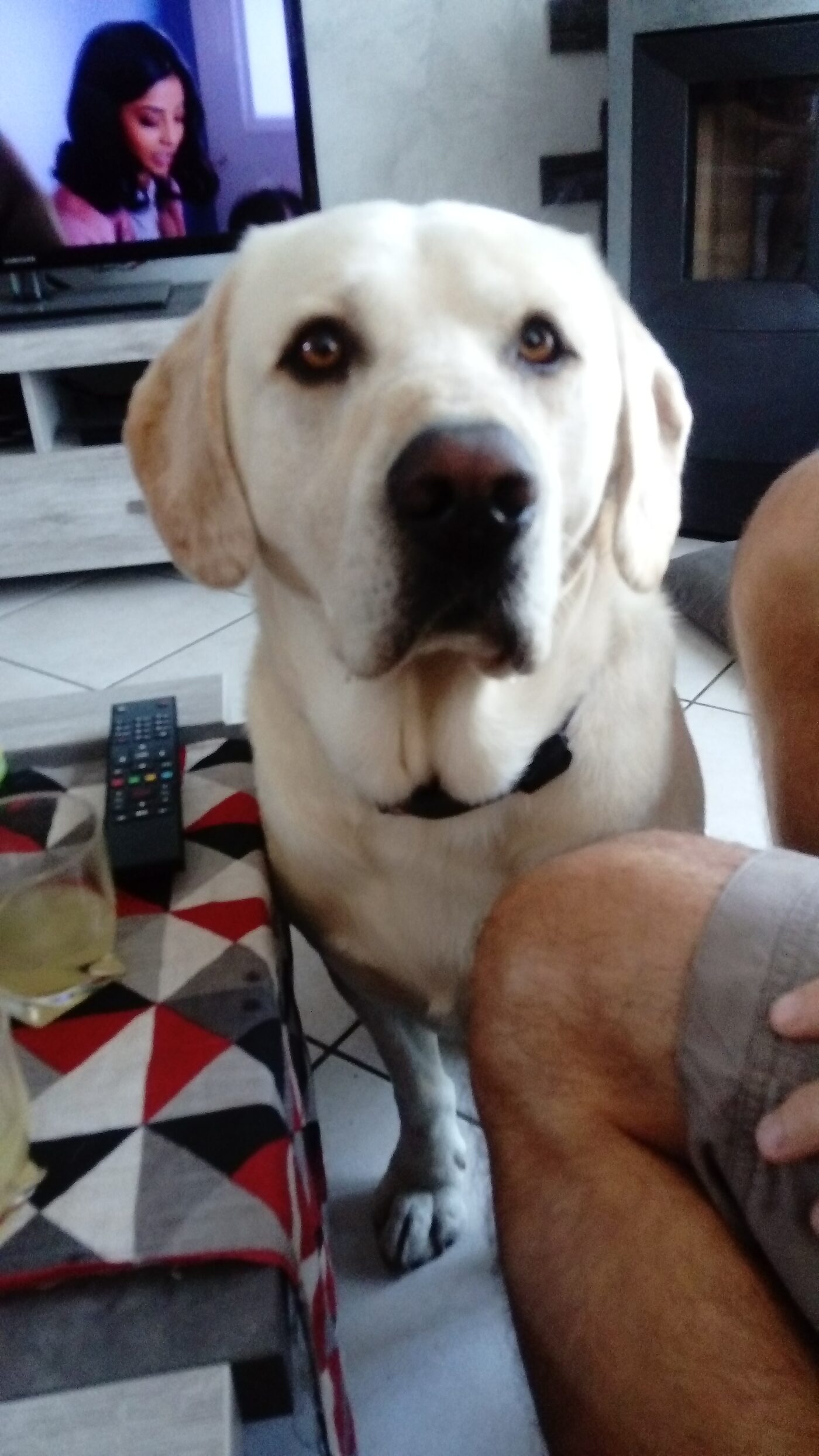 Kouky