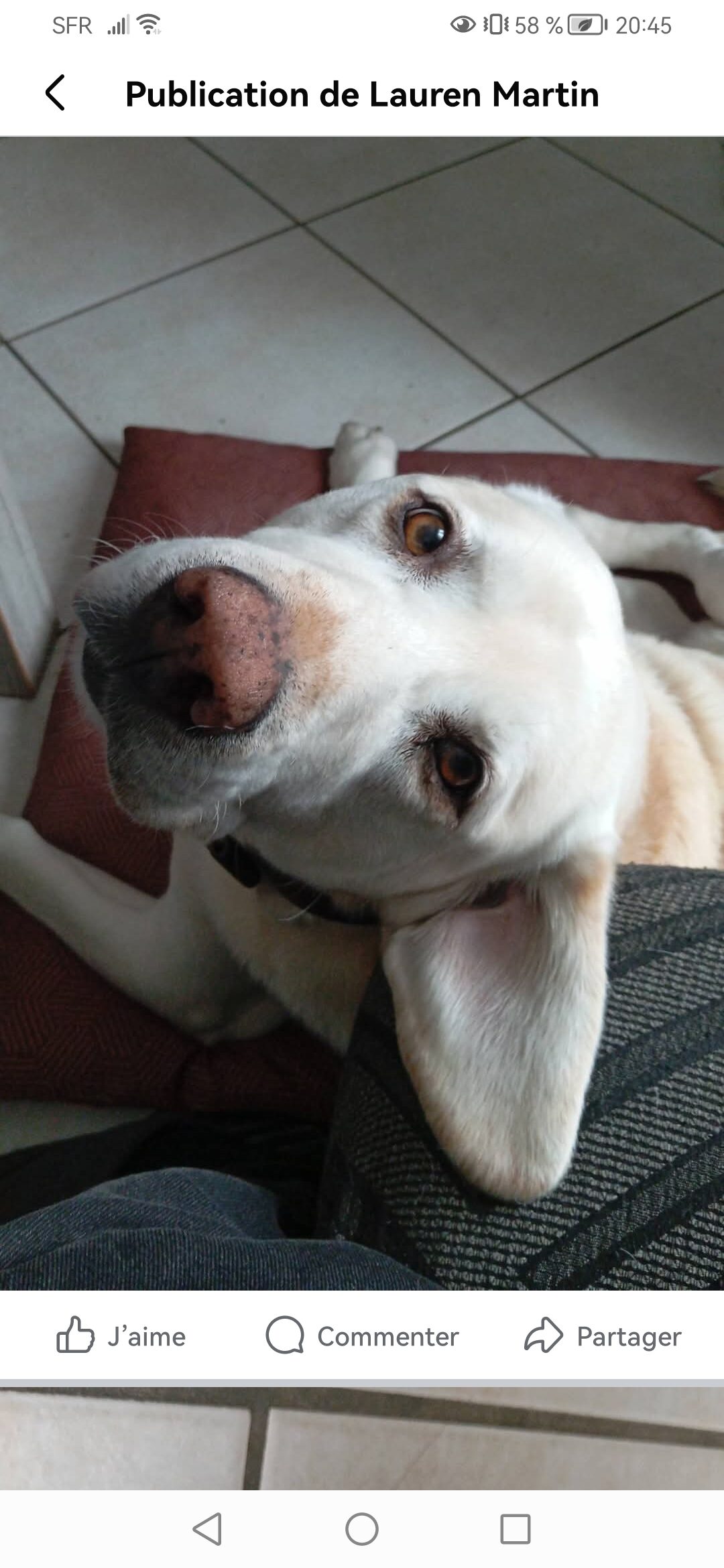 Kouky