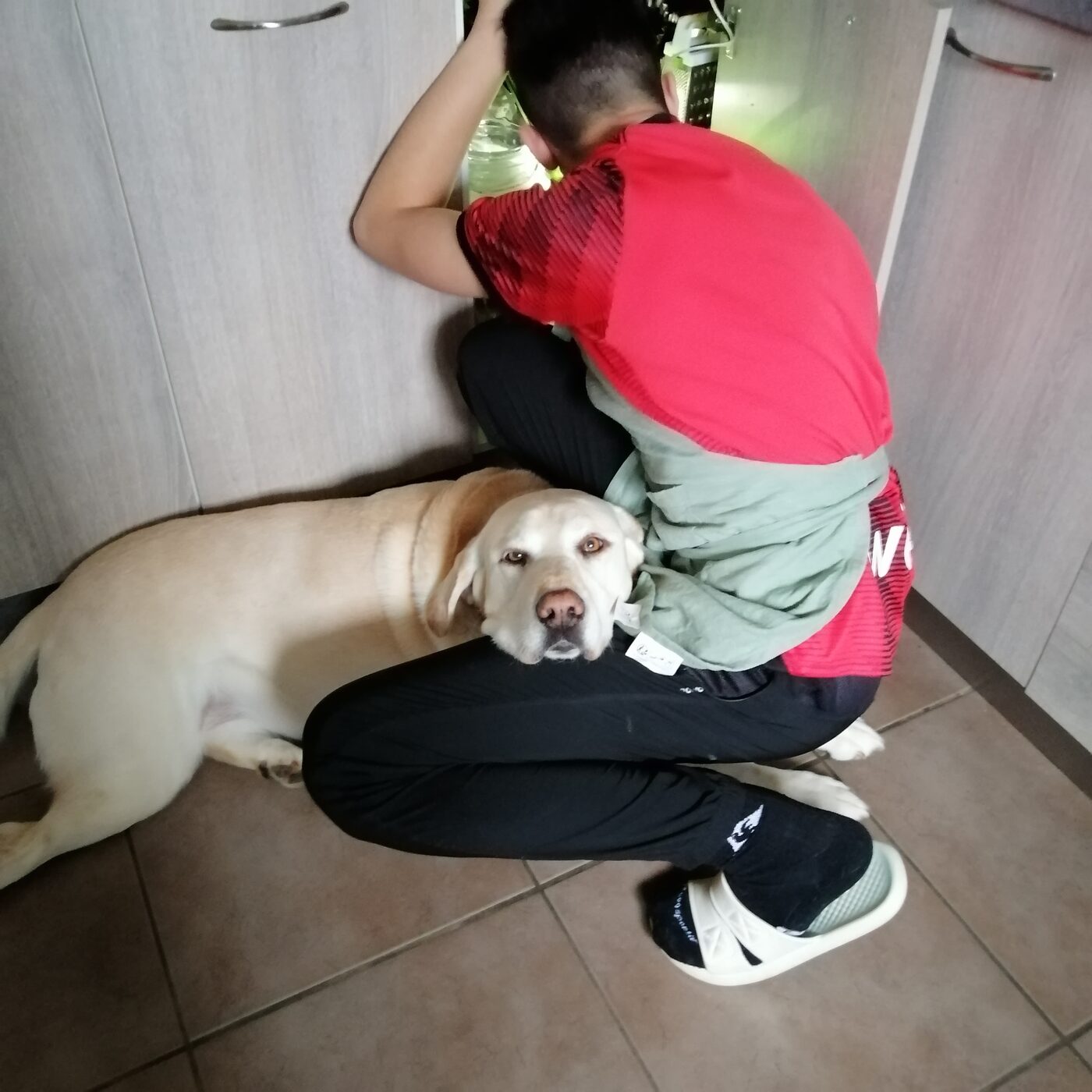 Kouky