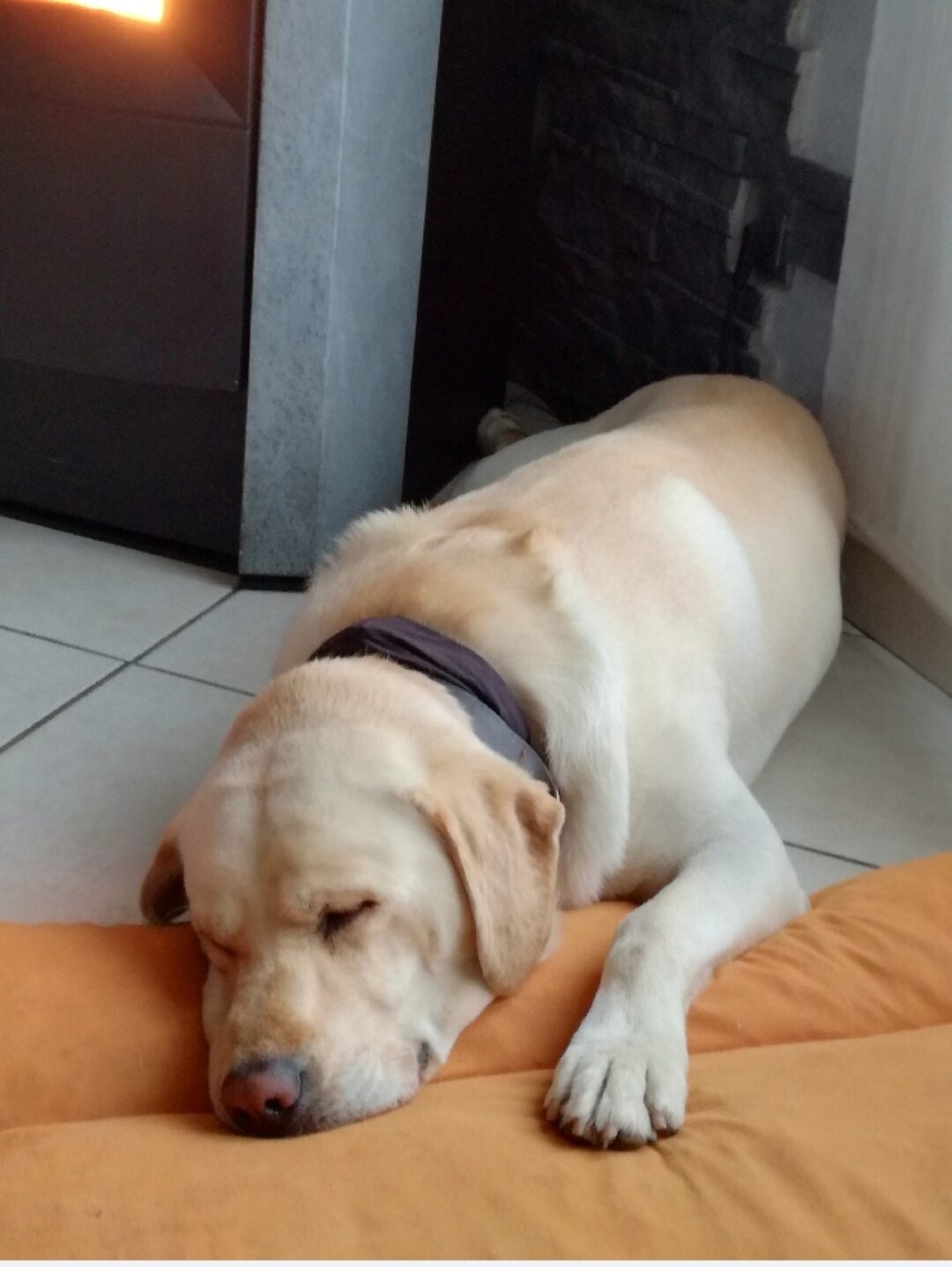 Kouky