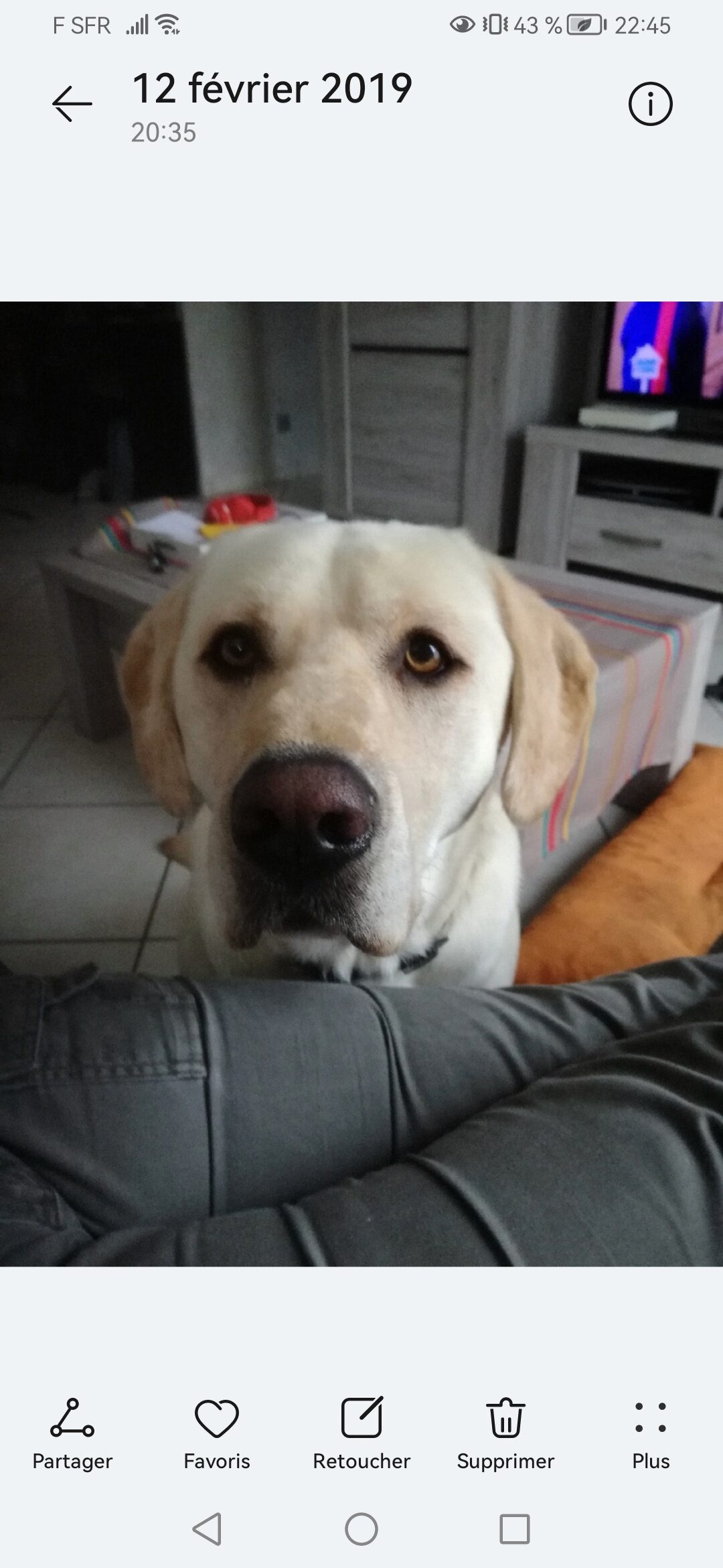 Kouky