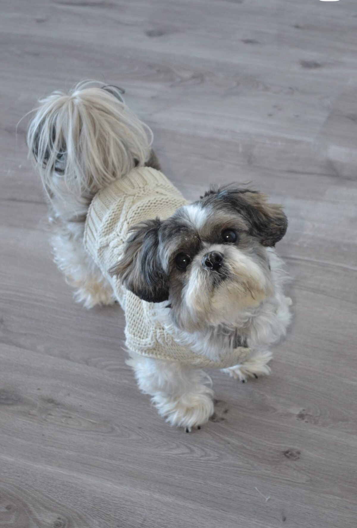 Yuki