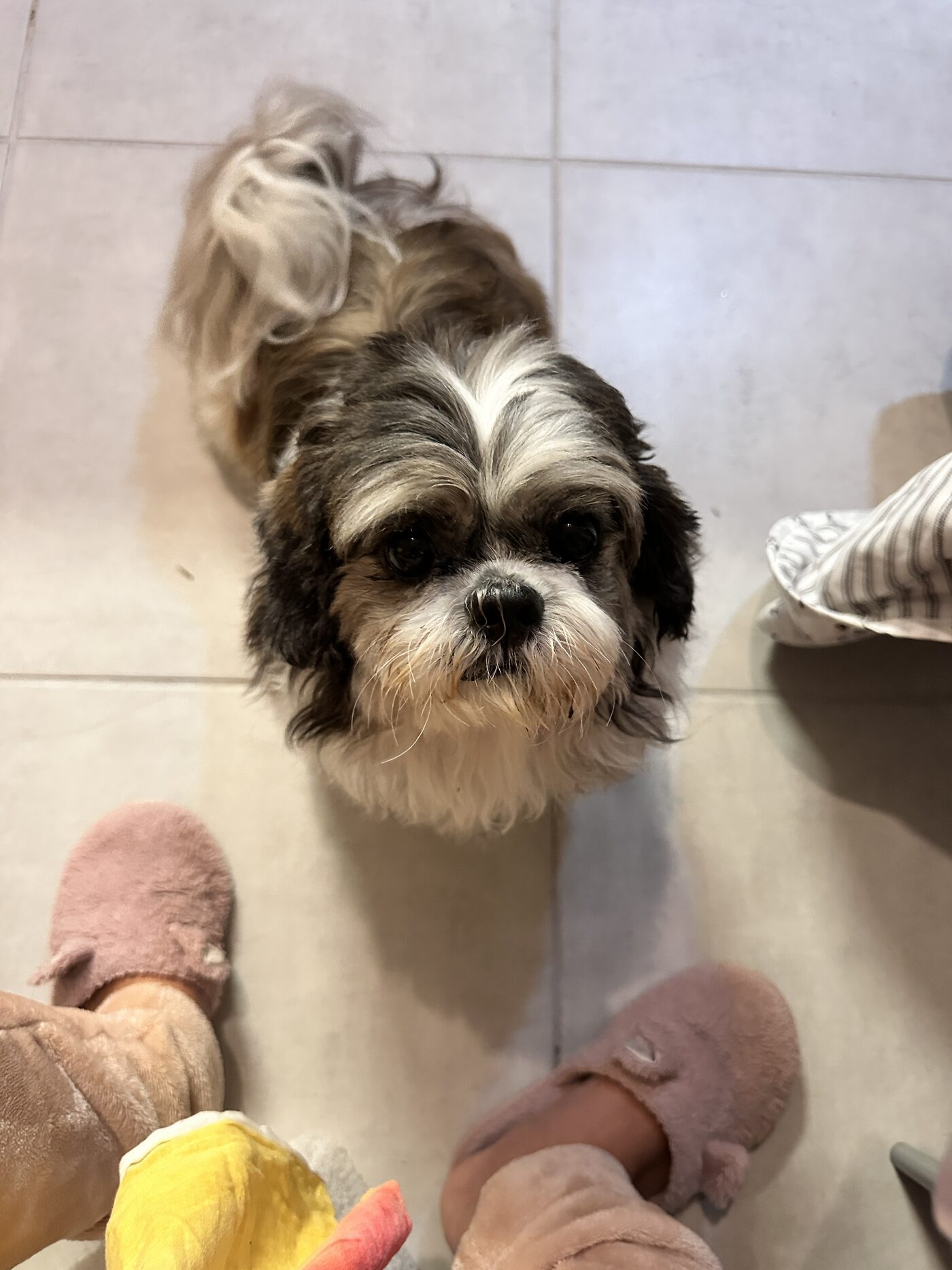 Yuki