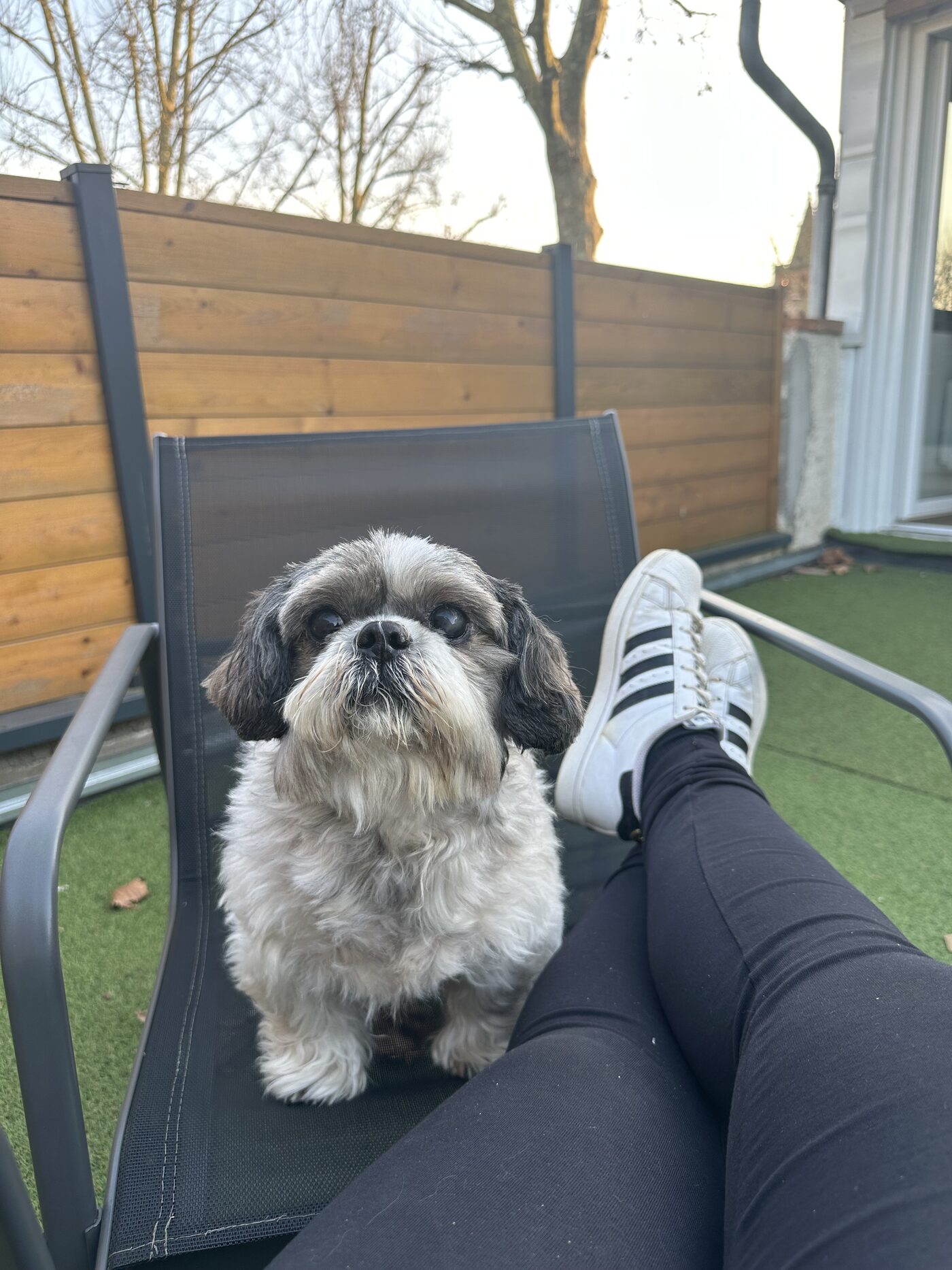 Yuki