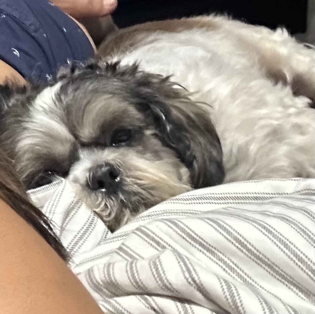 Yuki