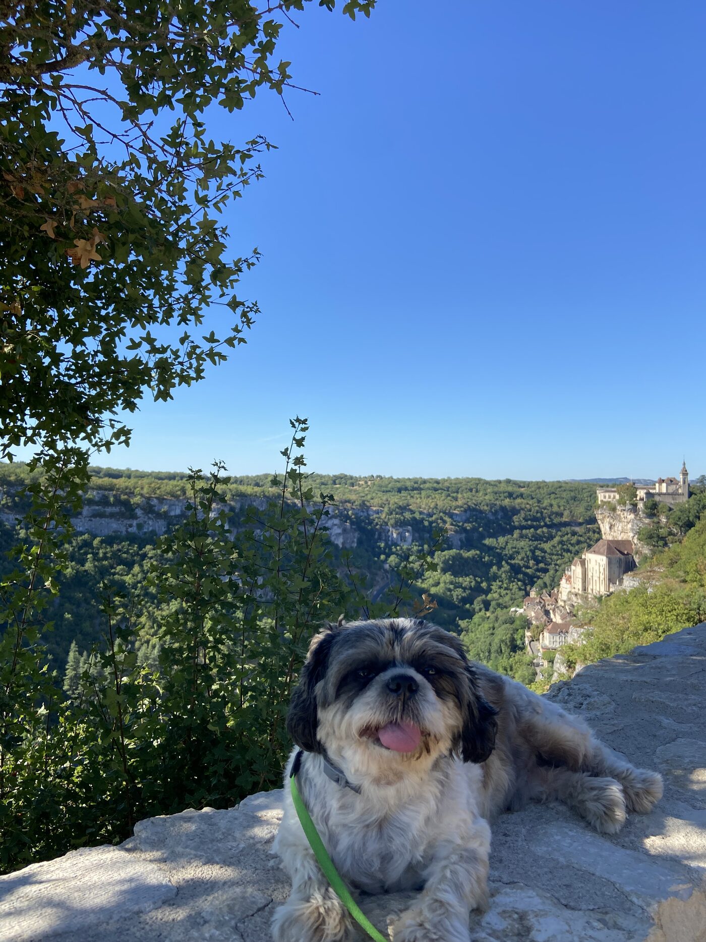 Yuki