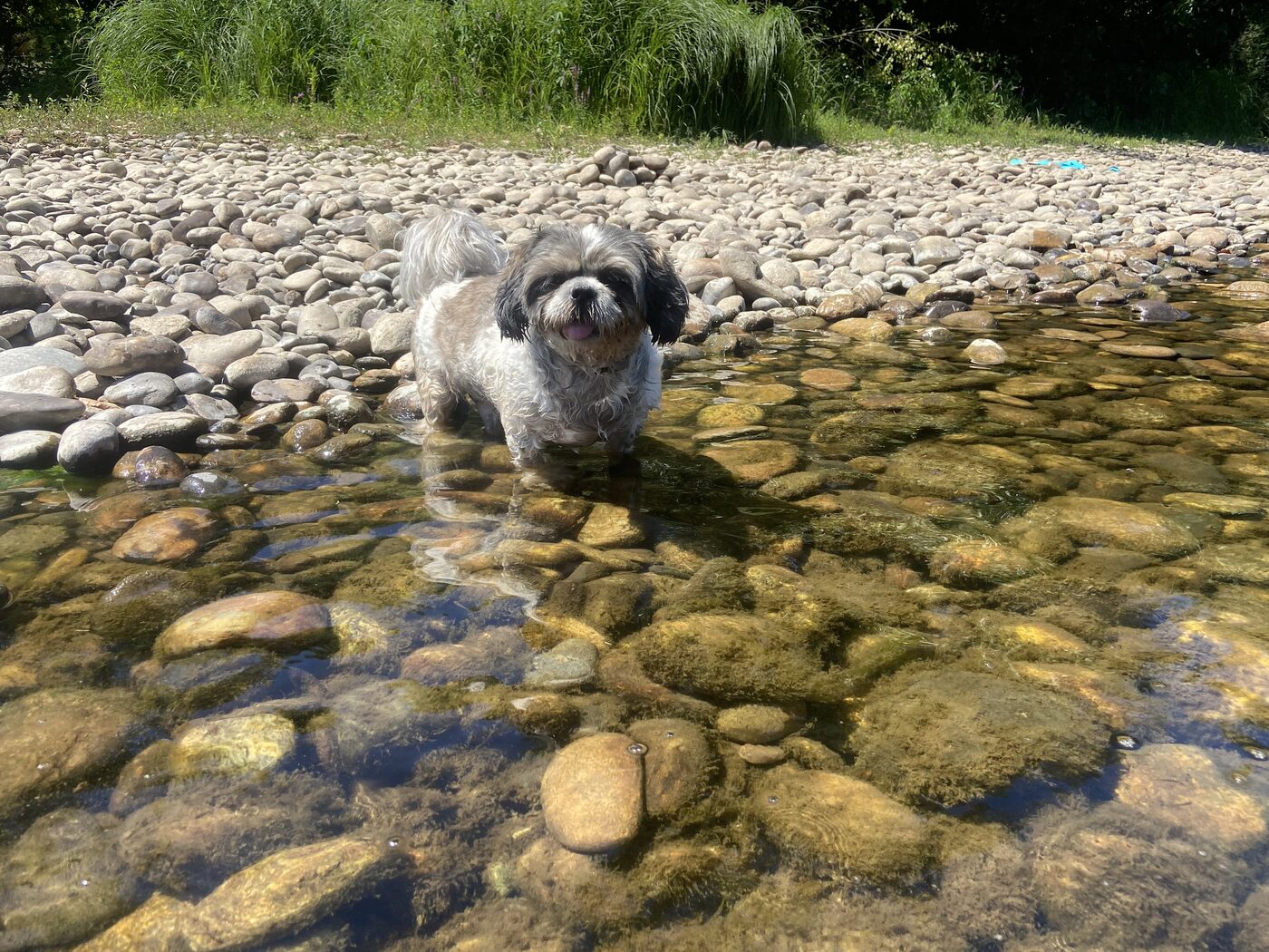 Yuki