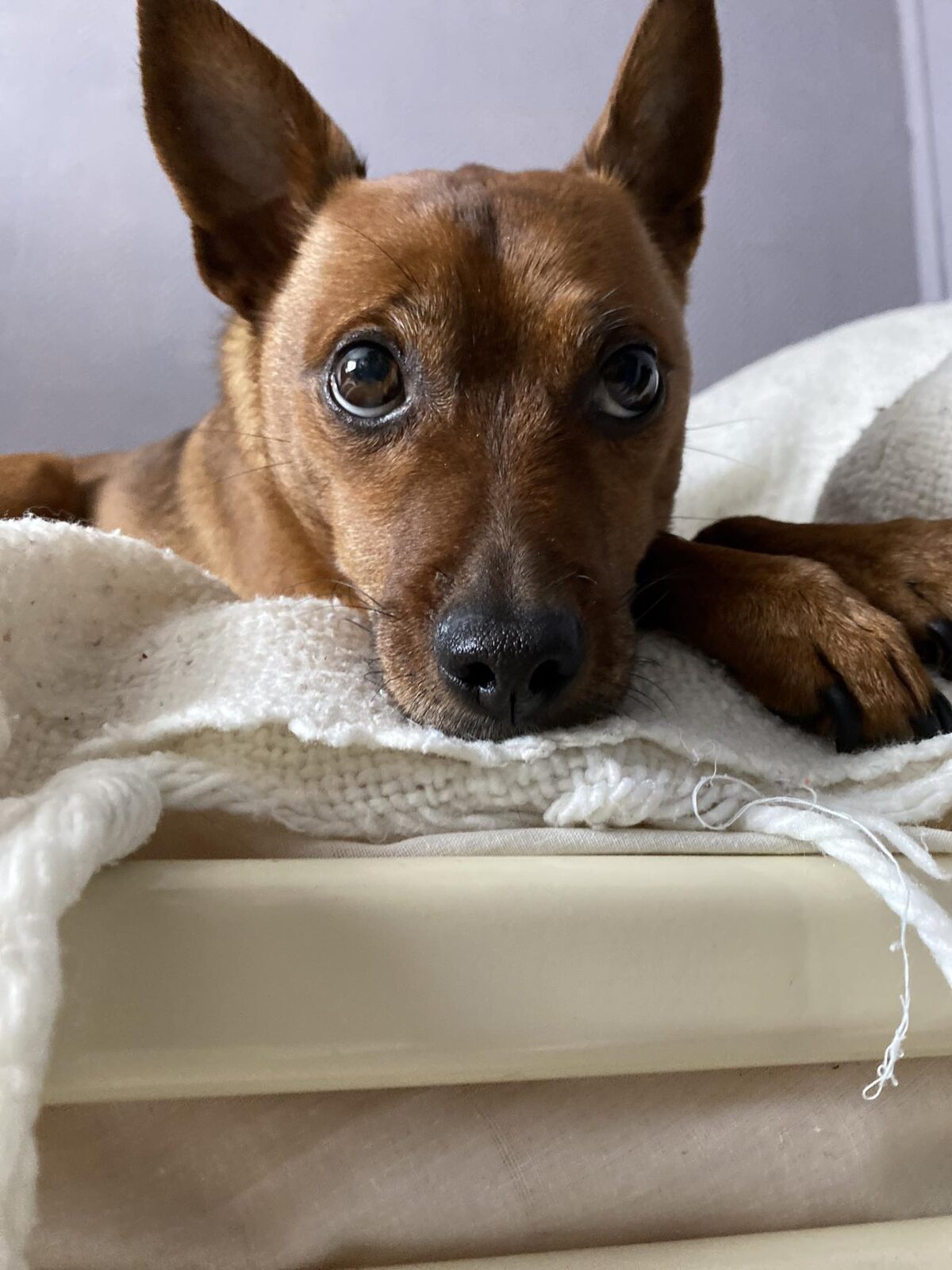 Max