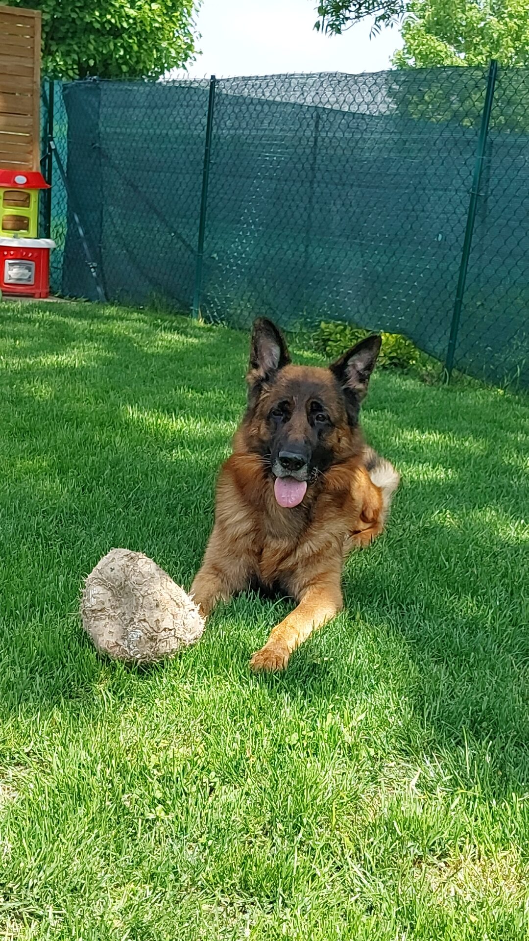 Pumba