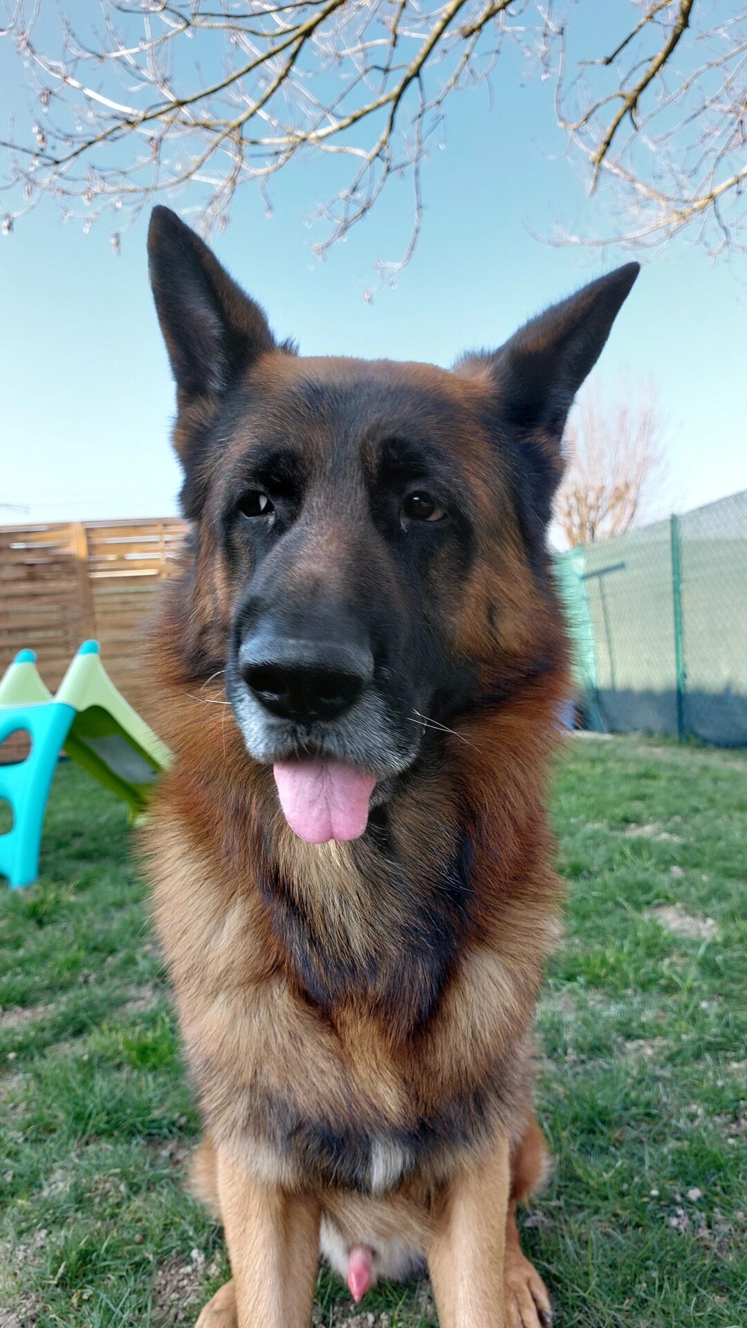 Pumba