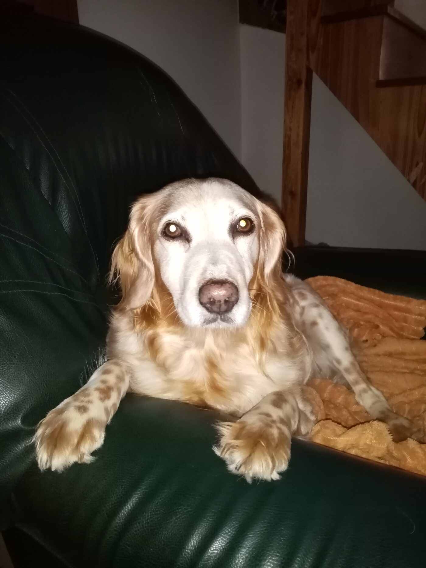 TINA