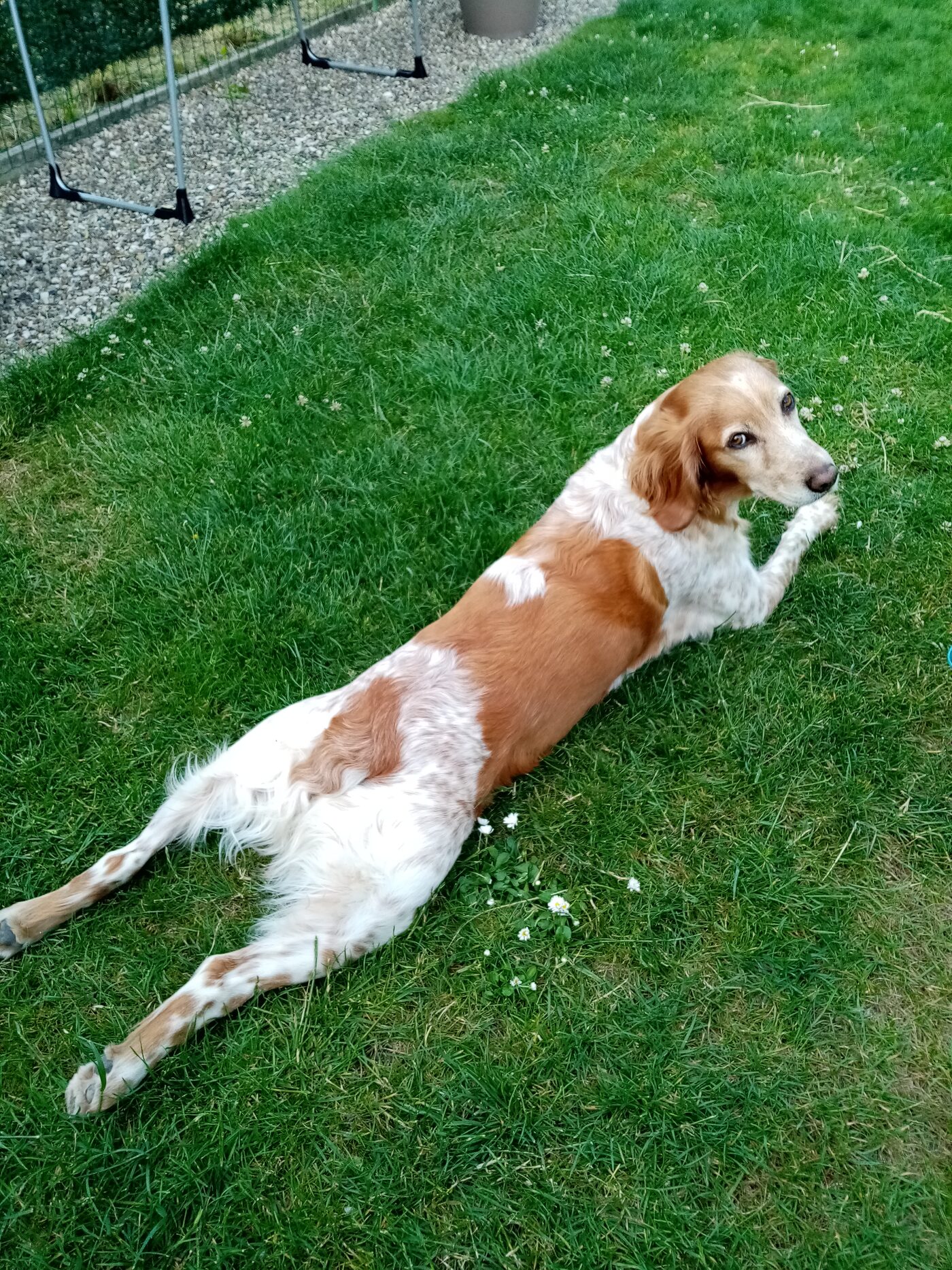 TINA
