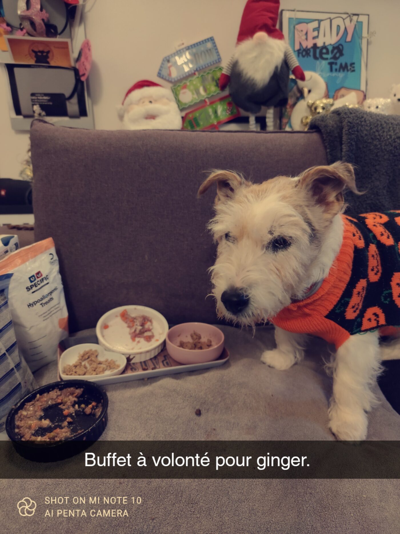 Ginger