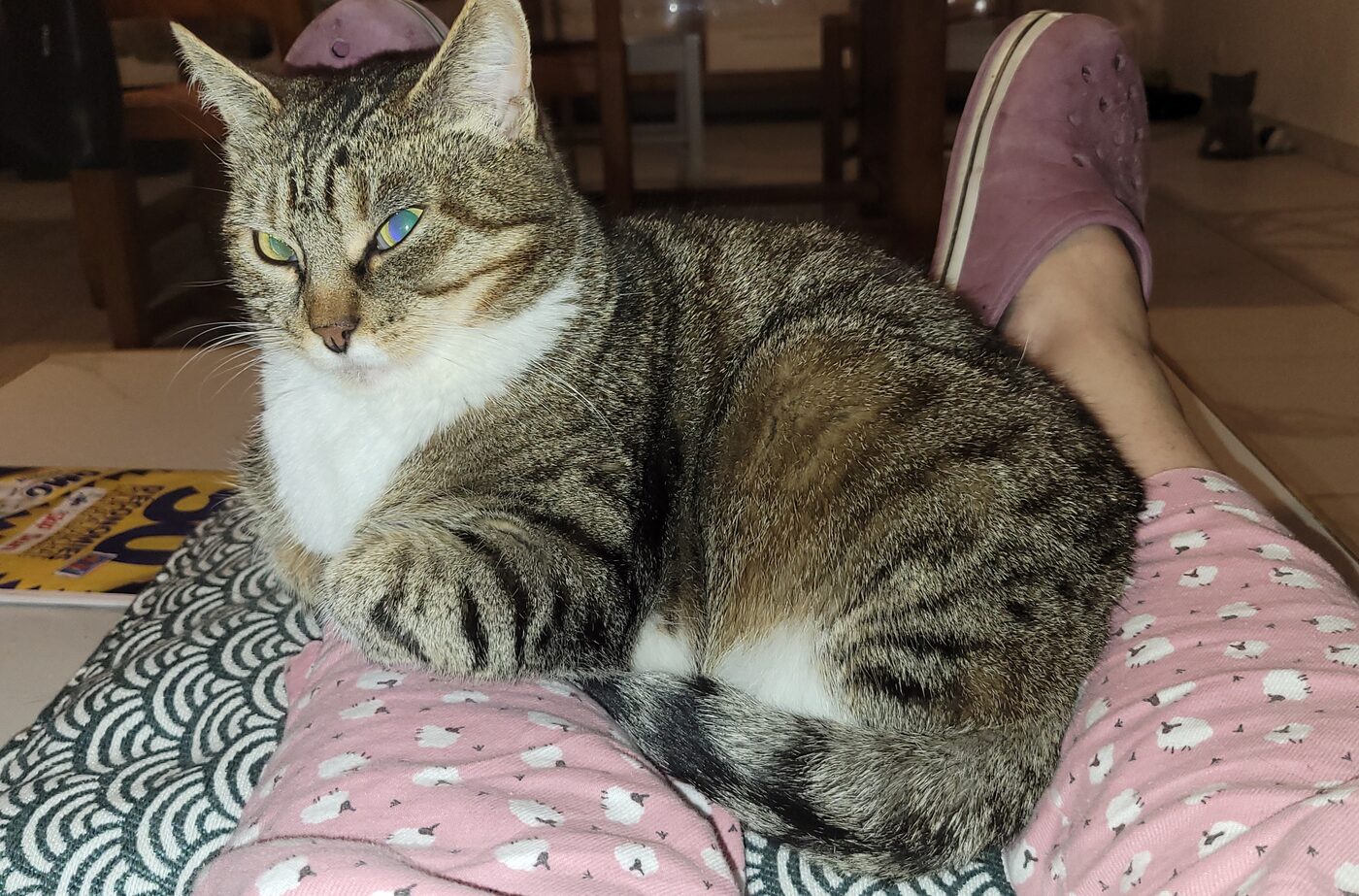 Noisette