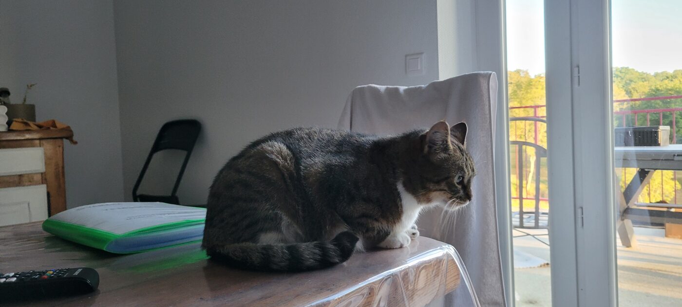 Noisette