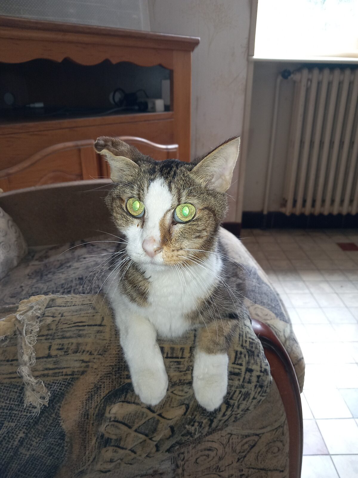 Caramel