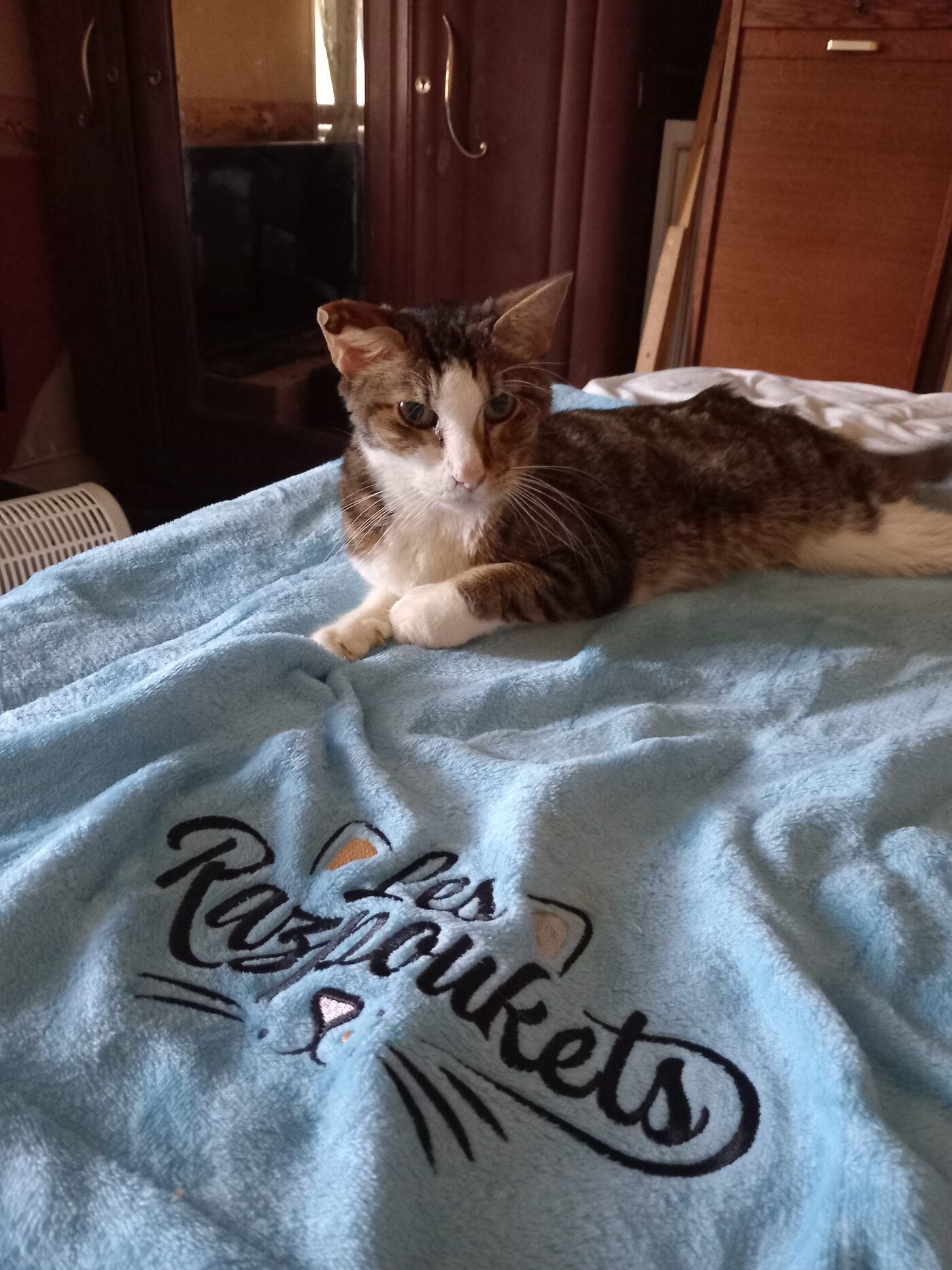 Caramel