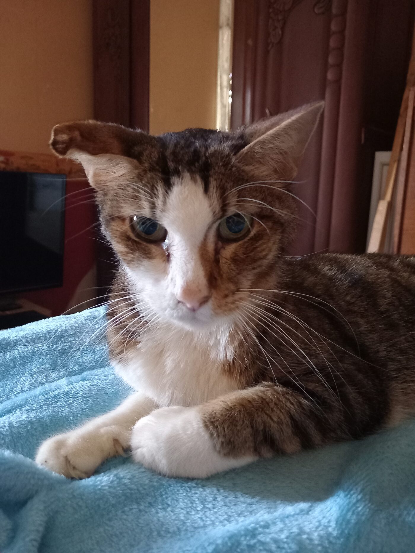 Caramel
