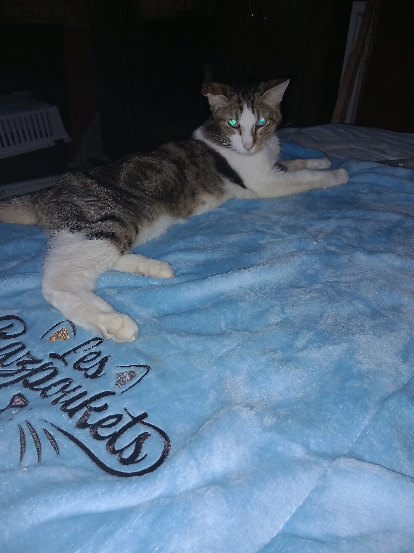 Caramel