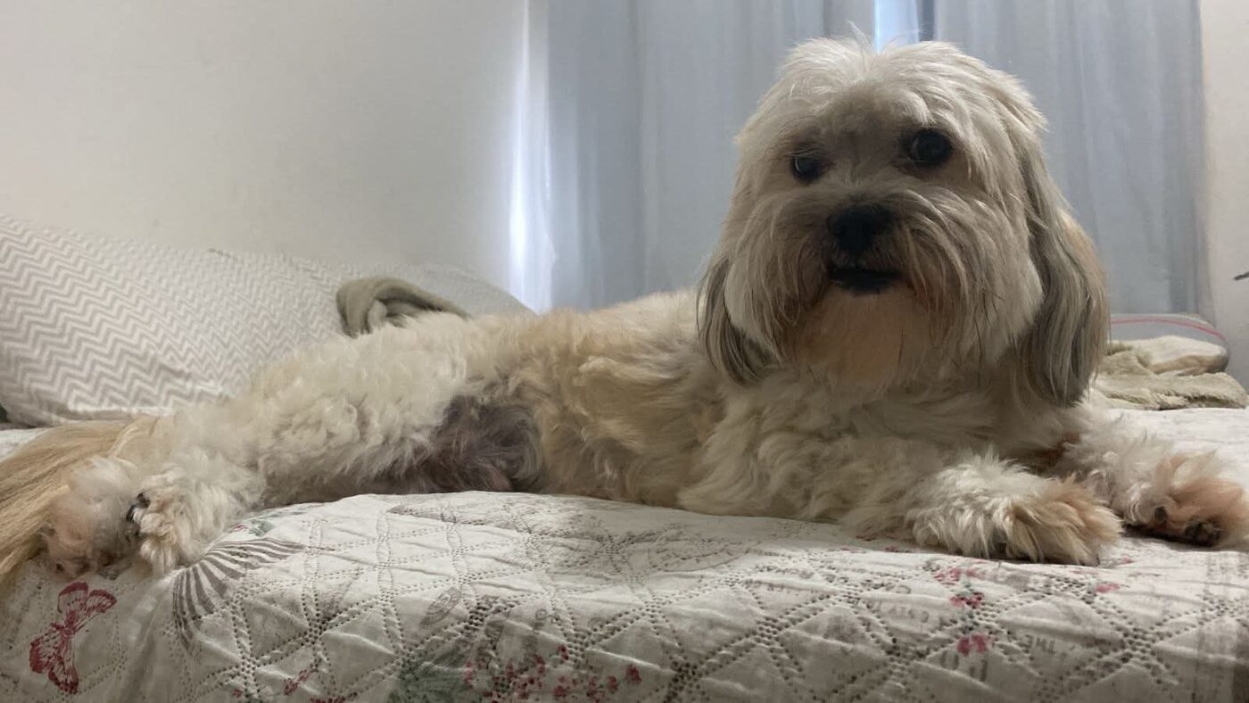 MILO