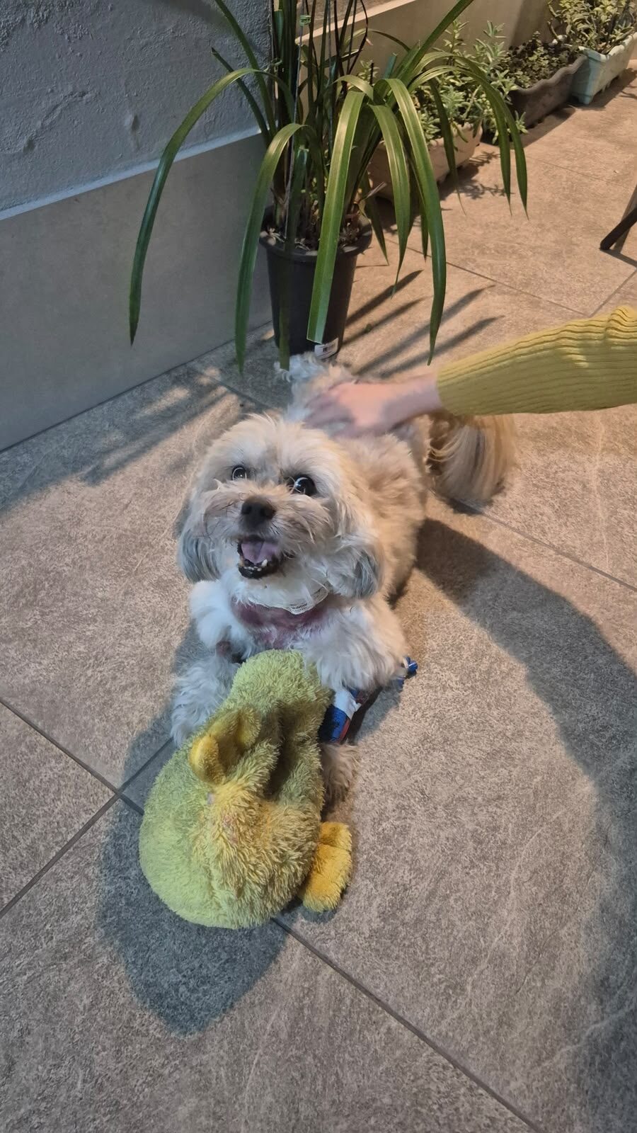 MILO