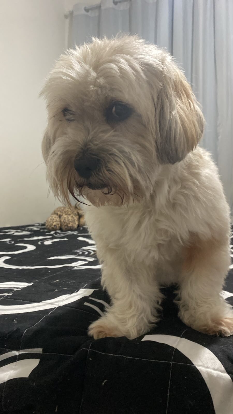MILO