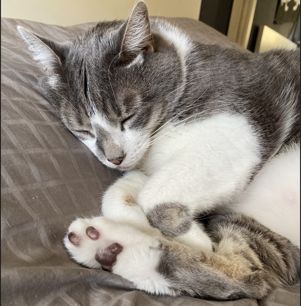 Pixel