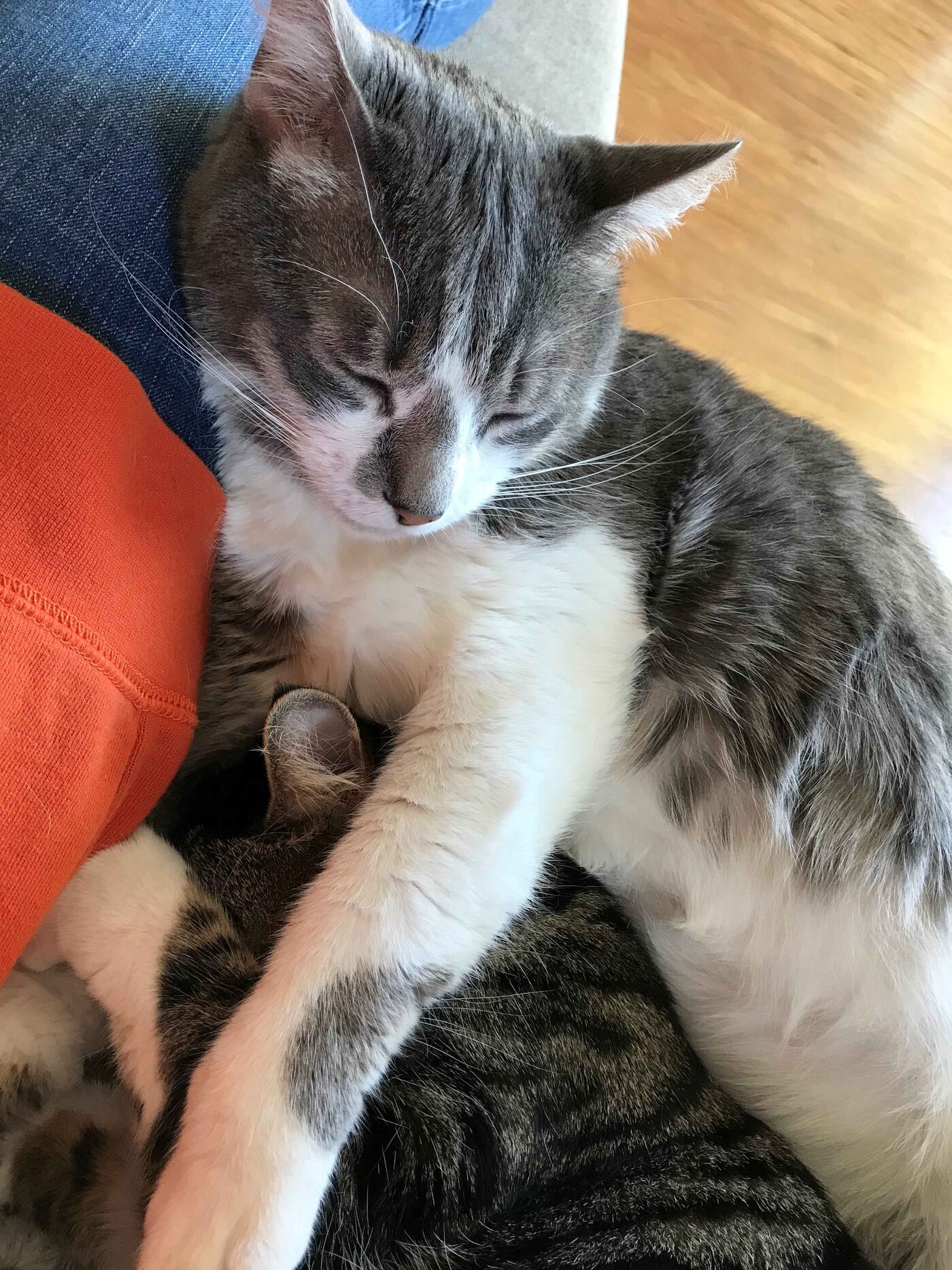 Pixel