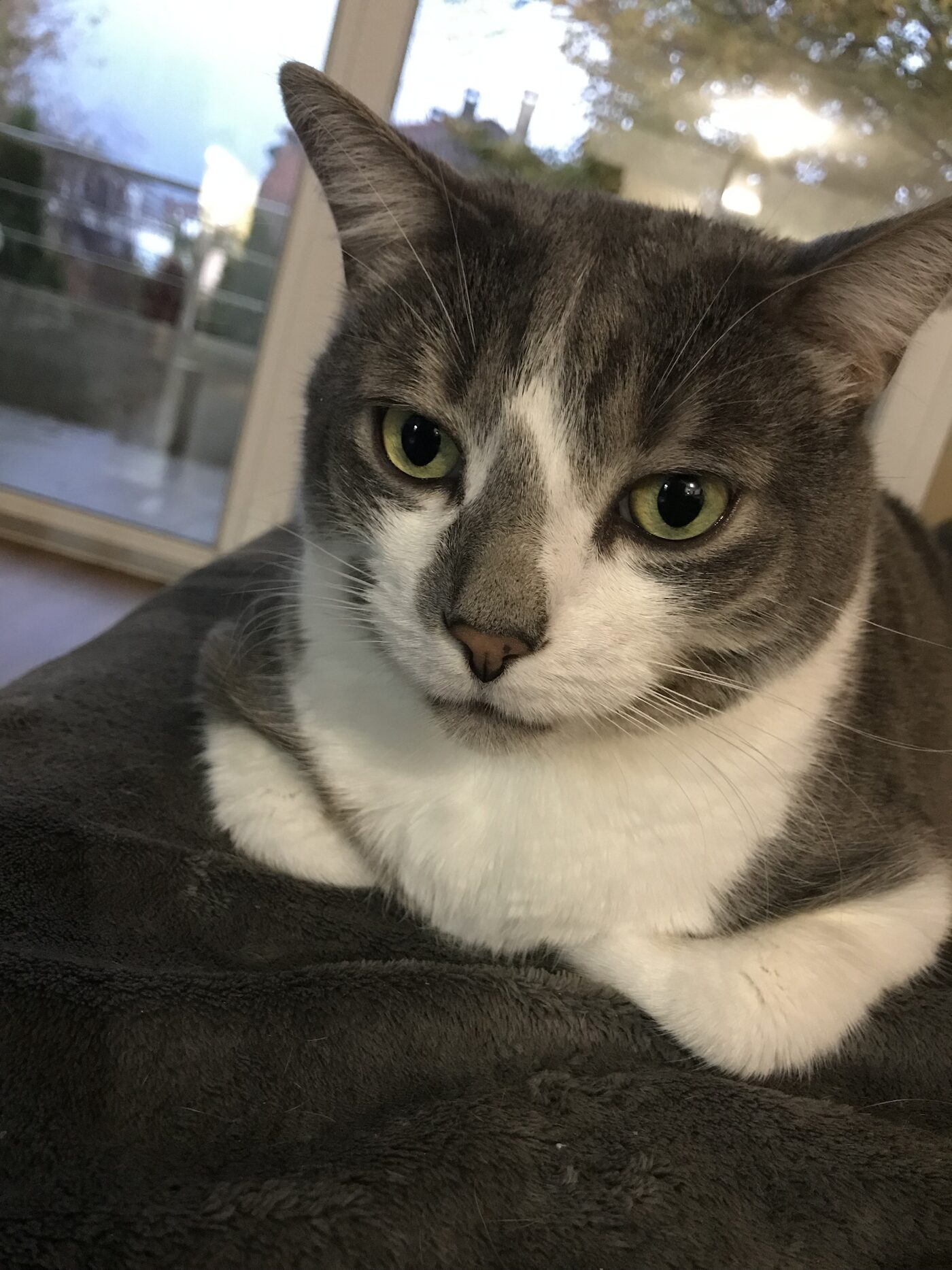 Pixel