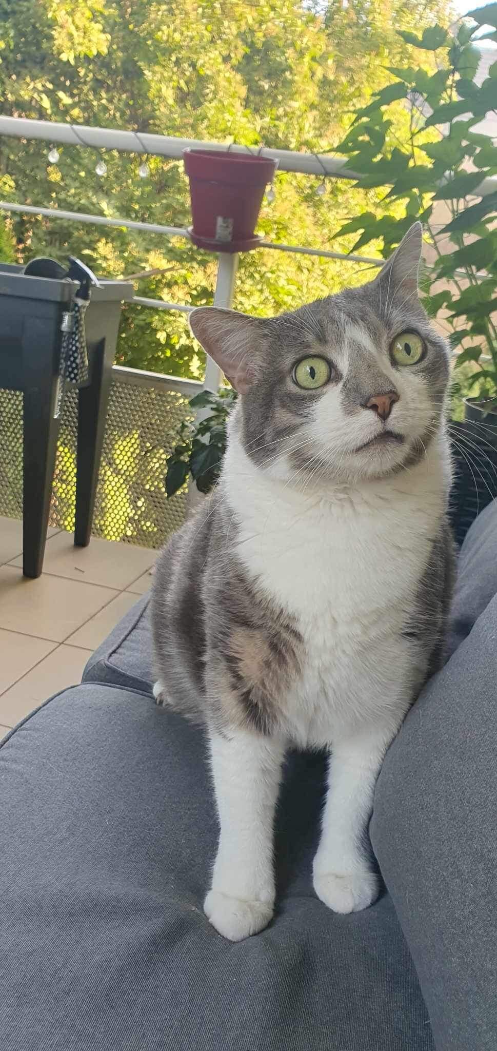 Pixel